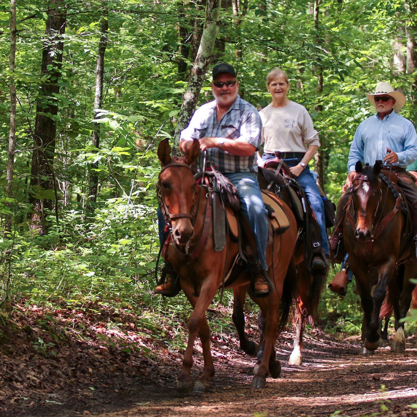 Summer Horseback Trail Ride 2026 - Early Bird - Full Event